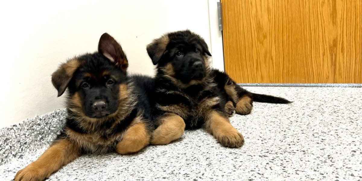 Deutsche Schäferhundwelpen: A Comprehensive Guide to Raising German Shepherd Puppies